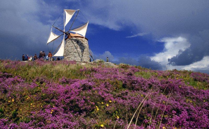 Casa De Campo Sossego Da Lata Fafe Exteriör bild